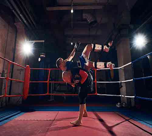 MMA News and Events