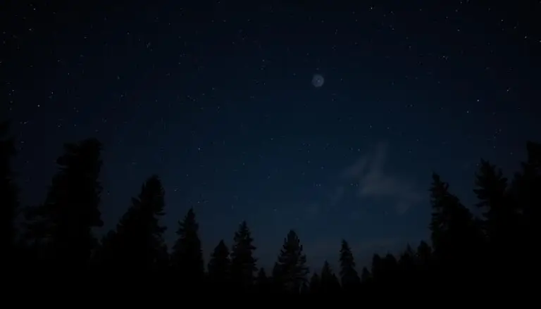 mysterious sightings